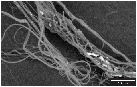 Silver nanoparticles distribution on the surface of the polyamide nanofibers