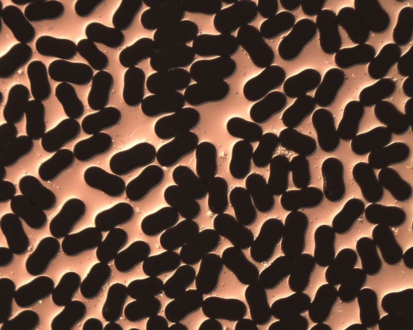 Metal matrix composite consisting of alumina fibers in aluminium casting alloy.