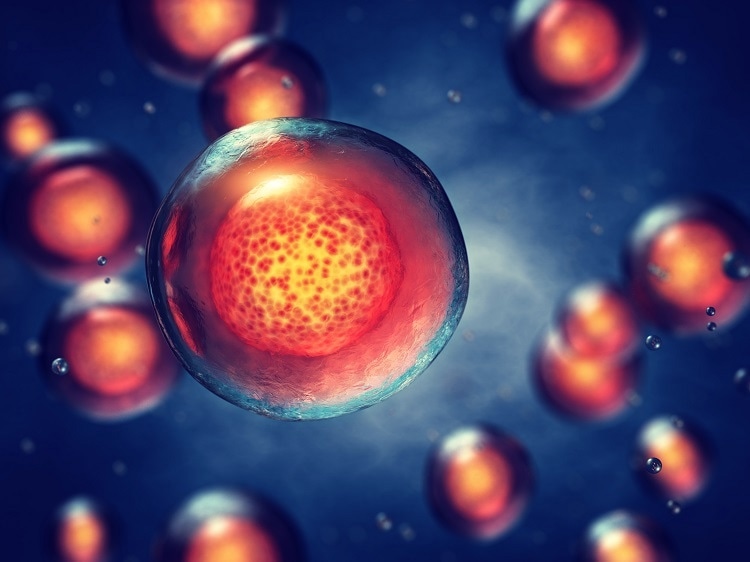 Studying structural transitions of proteins can be achieved using The ViscoStar III Image