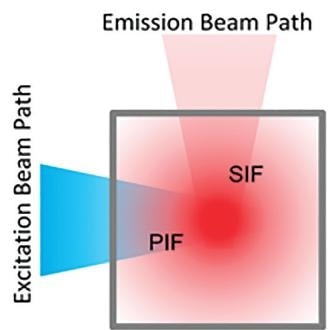 Blue excitation light intensity is gradually diminished due to sample absorption outside the measurement volume. Red emission light is diminished due to reabsorption of emitted fluorescent light.