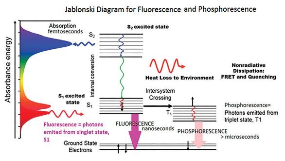 Principles and applications in biomedical diagnostics