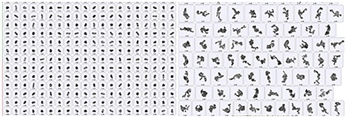 Images obtained during the measurement of a sample containing small primary particles and open fractal-like agglomerates.
