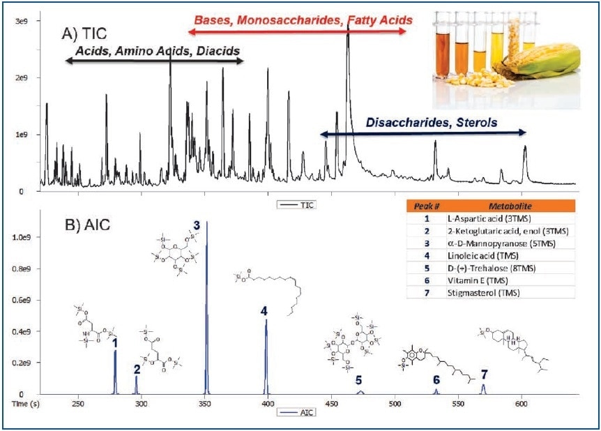 Total Ion Chromatogram