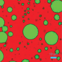 Cross section analysis of commercial plastic, showing the capability of confocal Raman microscopy for analysis of µm thick layers