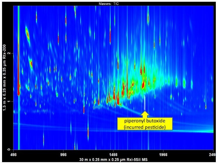 GCxGC-TOFMS was used to analyze a QuEChERS extract of finished tobacco. In a 1D-GC analysis matrix interference would have obscured the detection of a widely used pesticide ingredient, piperonyl butoxide. The automated peak find in the LECO ChromaTOF software identified piperonyl butoxide, with a library similarity of 876.
