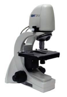 Raman Spectroscopy, Raman, Spectroscopy, forensic