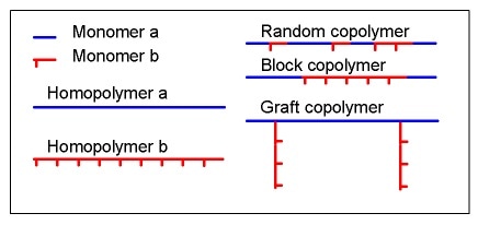 The monomers can be randomly distributed in the copolymer molecule or be present in blocks. Side chains can also be grafted onto the main chain.