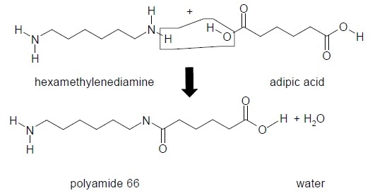 Polycondensation of hexamethylenediamine and adipic acid to polyamide 66.