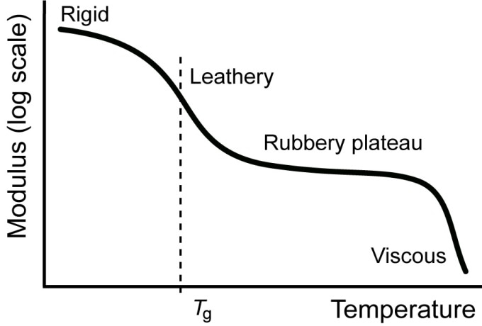 Influence of temperature on the elastic modulus and the behavior of a thermoplastic.