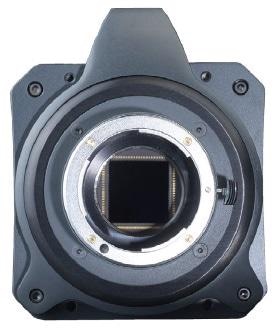 Features of sCMOS Cameras for Fluorescence Microscopy
