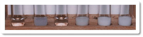 31P{1H} NMR spectra of a series of reactions between alkyl halides and triphenylphosphine