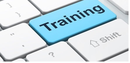 Interactive training that enables users to engage with the program actively and receive feedback in real time