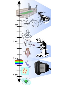 microscopy scale