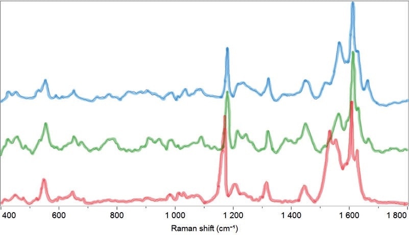 Raman spectra of Fraxinus floribunda (in blue), Ligustrum lucidum (in green), Olea europaea (in red) pollen, all belonging to the Oleaceae family.