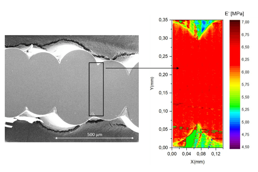 XPM Modulus map on the cross section of 3D printed poly lactide acid (PLA) strands.