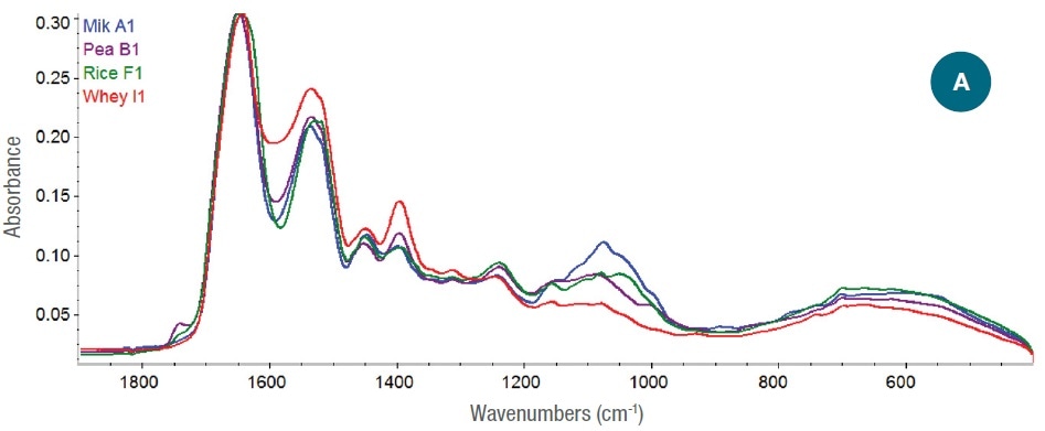 (A) Full-scale ATR-corrected spectra of protein powders