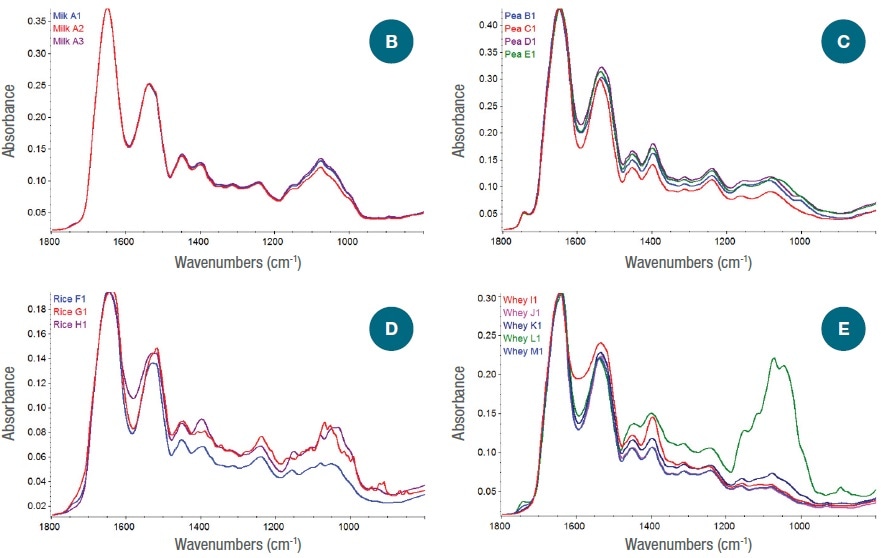 (B) Spectra of the three lots from the one milk protein vendor; (C) Spectra of pea protein powders from three different vendors; (D) Spectra of rice protein powders from three different vendors; and (E) Spectra of whey protein powders from five different vendors.