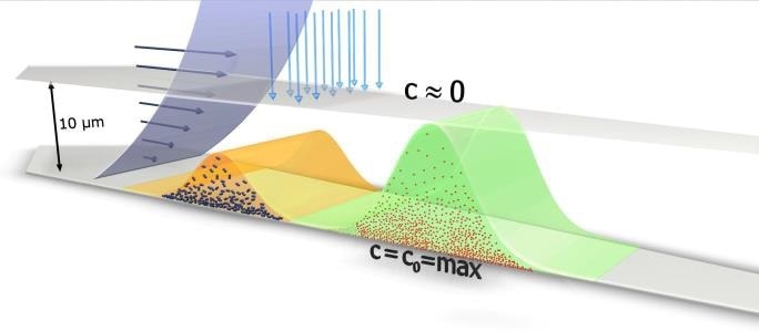Principle of Flow-FFF separation. Shown are two particle clouds moving along the channel accumulation wall, which consists of a membrane supported by a frit. The cross flow is coming from the top and permeates through the accumulation wall exerting a friction force on the particles. The smaller (red) particles diffuse higher up against the cross flow compared to the bigger (blue) particles. The parabolic velocity flow profile of the channel flow transports the more extended particle cloud much faster, compared to the more compact particle cloud of the bigger particles.