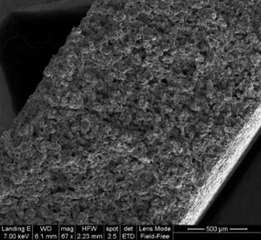 Electron micrograph of the sintered frit after it had been coated and broken in half to expose the internals of the part for analysis.