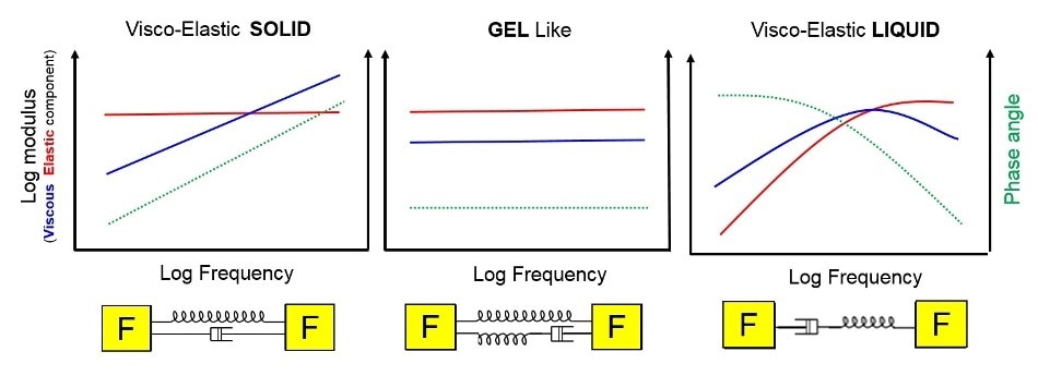 Typical frequency response for a viscoelastic solid, viscoelastic liquid and a gel in oscillatory testing.