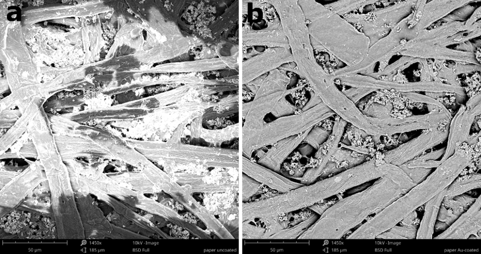 a) Charging effect on a non-conductive sample and b) BSD imaging of this sample after 10 nm gold coating.