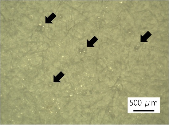 Microplastic on the Filter (Indicated by black arrows).