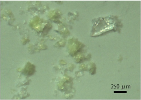 Microplastics on the Filter.