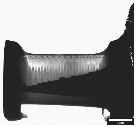 Overview STEM-BF image of a final lamella prepared from an SDRAM sample and polished to a final thickness of 80 nm.