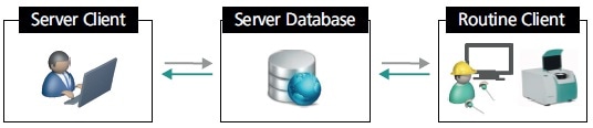 General setup of a client-server system for quality control. The setup consists of three elements: server client, routine client, and server database.