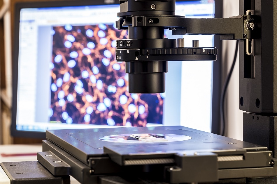 AFM, atomic force microscopy, cantilever, microscopy