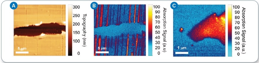 (a) AFM topography imaging of CNTs deposited on polystyrene substrate; (b) IR chemical mapping image at 4000 cm-1 showing absorption by CNTs; (c) IR chemical mapping image of monolayer graphene captured at 4000 cm-1.