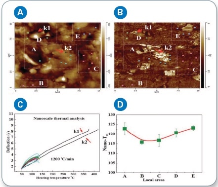 (a) LCR-AFM height image; (b) AFM mechanical image (using LCR) of the PE/BN composites, showing boron nitride clusters in the areas A, D, and E; (c) Local thermal analysis data of the assigned positions were obtained by nano-TA, comparing the melting temperatures of PE and BN; (d) DSC from the PE/BN composites (heating rate of 2 °C min-1).