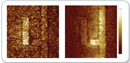 Experimentally measured AFM cantilever deflection amplitudes. The cantilever deflection is directly proportional to temperature increase in the sample during the laser pulse; this confirms that the magnitude and spatial distribution the Ohmic heating of a chiral 2D metasurface markedly depends on the handedness of light.1