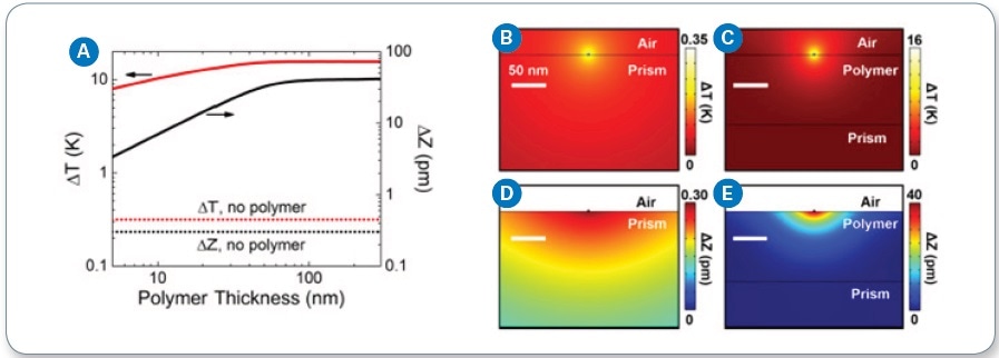 (a) Temperature rise (?T) and expansion (?Z) as a function of polymer thickness beneath the sample; Temperature rise (b) with no polymer and (c) with polymer beneath the sample; Vertical thermomechanical expansion (d) with no polymer and (e) with polymer beneath the sample.