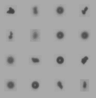The first sample contains very fine sizes. There are also a few spherical bubbles present. They are between about 30 and 40 microns in diameter.