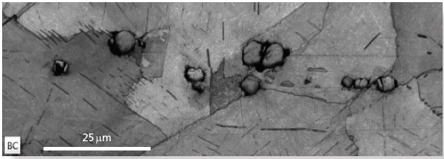 An EBSD band contrast map, illustrating the nickel matrix coupled with the needle-like Ni-Nb precipitates and the rounded carbonitrides.