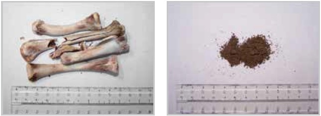 Bone sample before and after grinding in a SM 300 cutting mill.