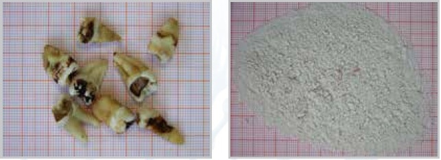 Teeth before and after grinding in the MM 400 mixer mil.