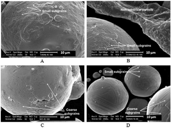 SEM pictures of 25–45µm fraction powders: (A) TiNb-1, (B) TNZ-1, (C) NiTi-1, and (D) Ref-Ti at magnification 3500×.