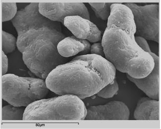 EOS Virgin PA12, medium magnification (S. Berretta et al.)