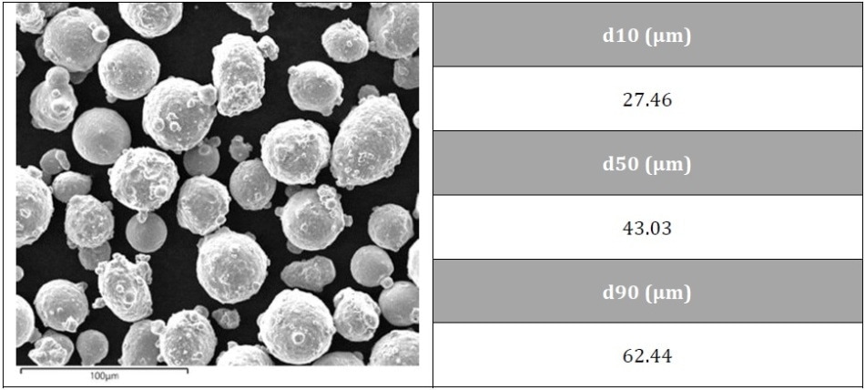 SEM picture and particle size distribution of the SS 316L powder provided by Höganäs.