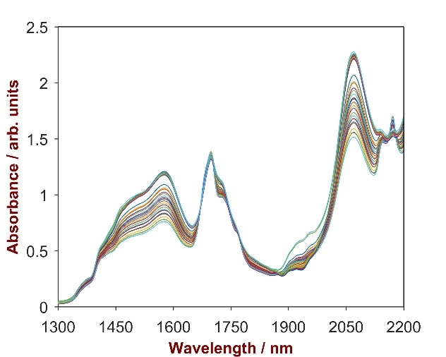 Raw data spectrum of 24 pesticide samples with Cyhalothrin concentrations ranging from 2.3–4.2%.