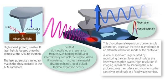 Basic principles of Tapping AFM-IR