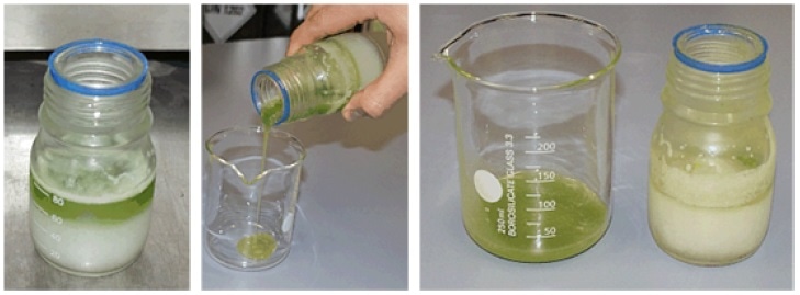 Oil separation by sample freezing