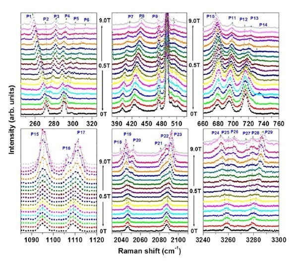 Magnetic-field dependence of new peaks seen at low temperatures. The peaks show Zeeman splitting which indicates the presence of magnetic degrees of freedom (Saha, 2016).