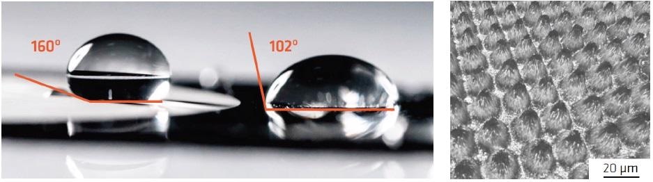 Confocal microscope analysis of the micro- and nano-texture created for superhydrophobic purposes.
