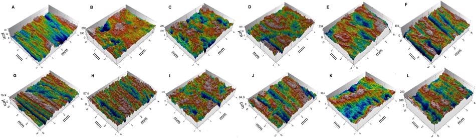 3D renderings of experimental (A, B, C) and archaeological (D to L) facets measured using confocal technique (modified after Rosso et al. 2017).