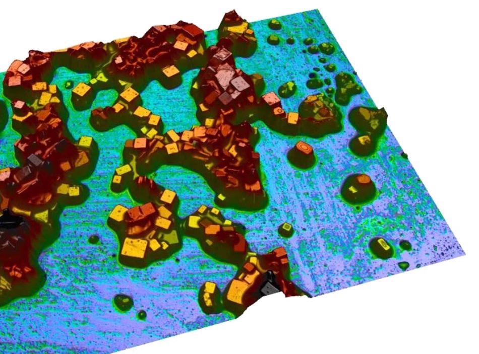 Overview of the samples acquired using the 2.5X magnification brightfield objective so as to obtain an idea of the salient characteristics.