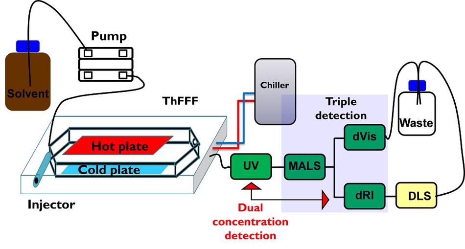 Schematic presentation of the current setup for ThFFF using five different information-rich detectors: ultraviolet (UV), differential refractometer (dRI), multiangle light scattering (MALS), dynamic light scattering (DLS), differential viscosimeter (dVis).