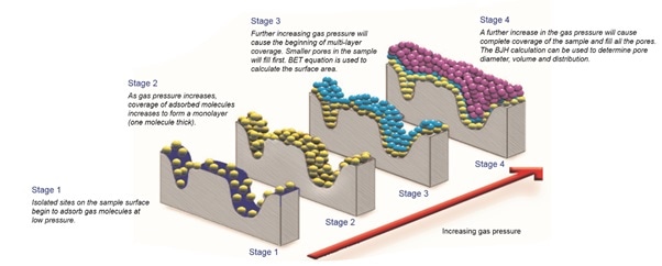In a gas adsorption measurement the pores of the sample progressively fill with the adsorptive gas as pressure is increased.